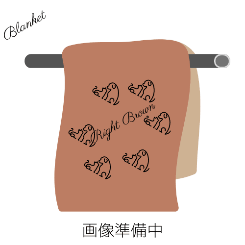 ブランケット(あちこち配置)