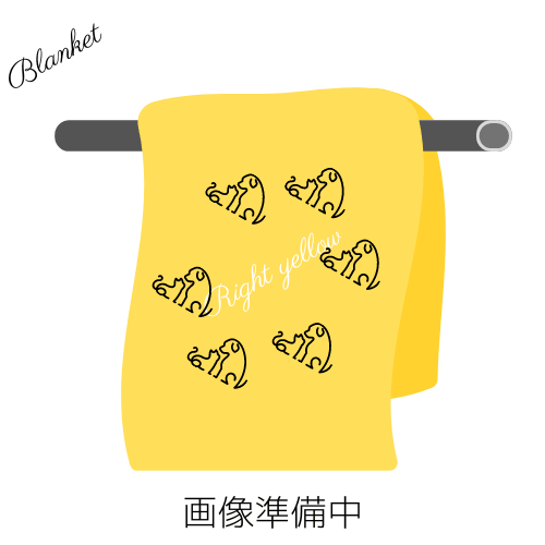 ブランケット(あちこち配置)
